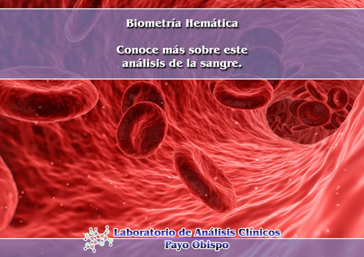 Biometría Hemática Un Análisis De La Sangre Laboratorio Payo Obispo